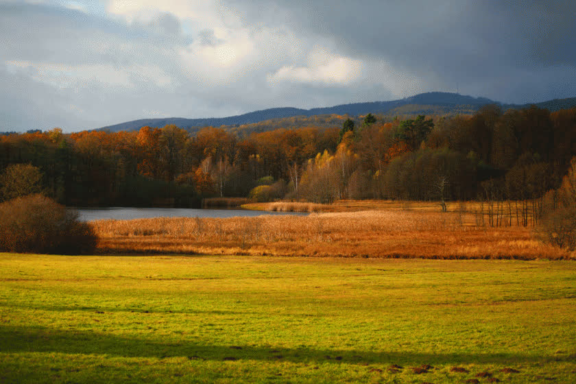 Landschaft im Harzvorland in Sachsen-Anhalt